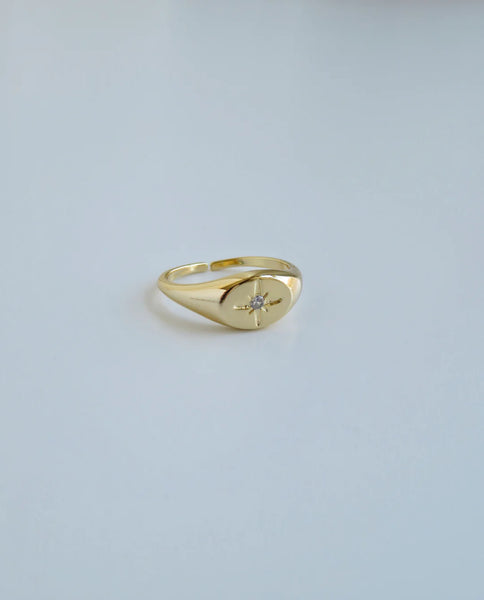 Danica Northstar Signet Ring
