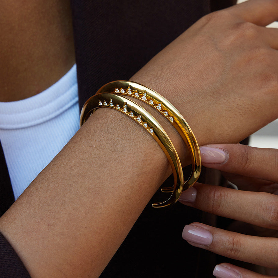 Bettina Bangle