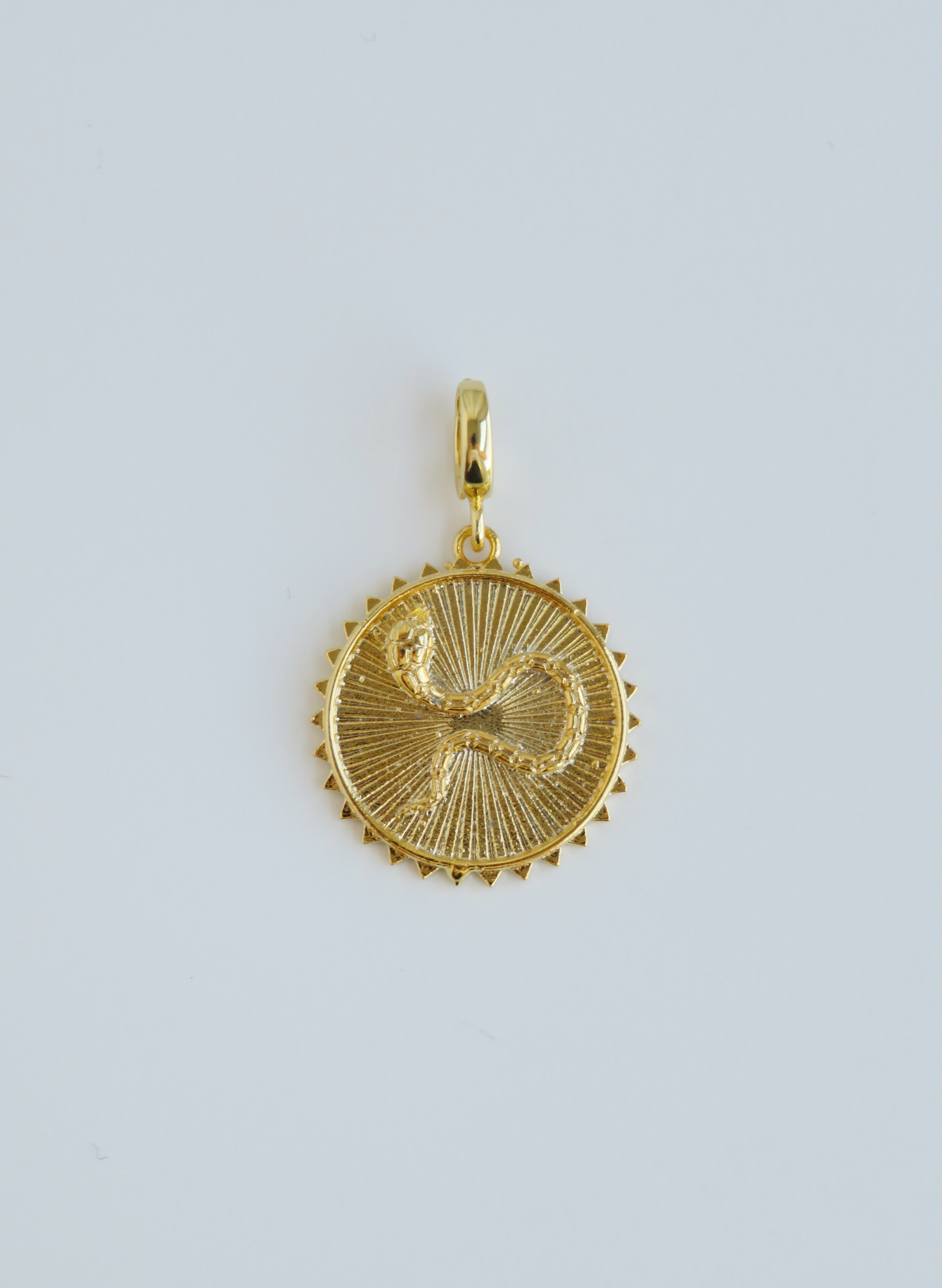 Golden Charms with Hinged Clasp