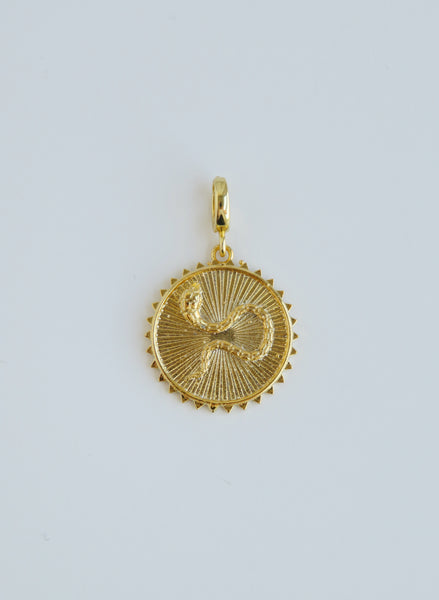 Golden Charms with Hinged Clasp