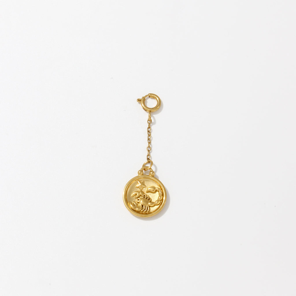 Zodiac Charms on Chain - Water Resistant