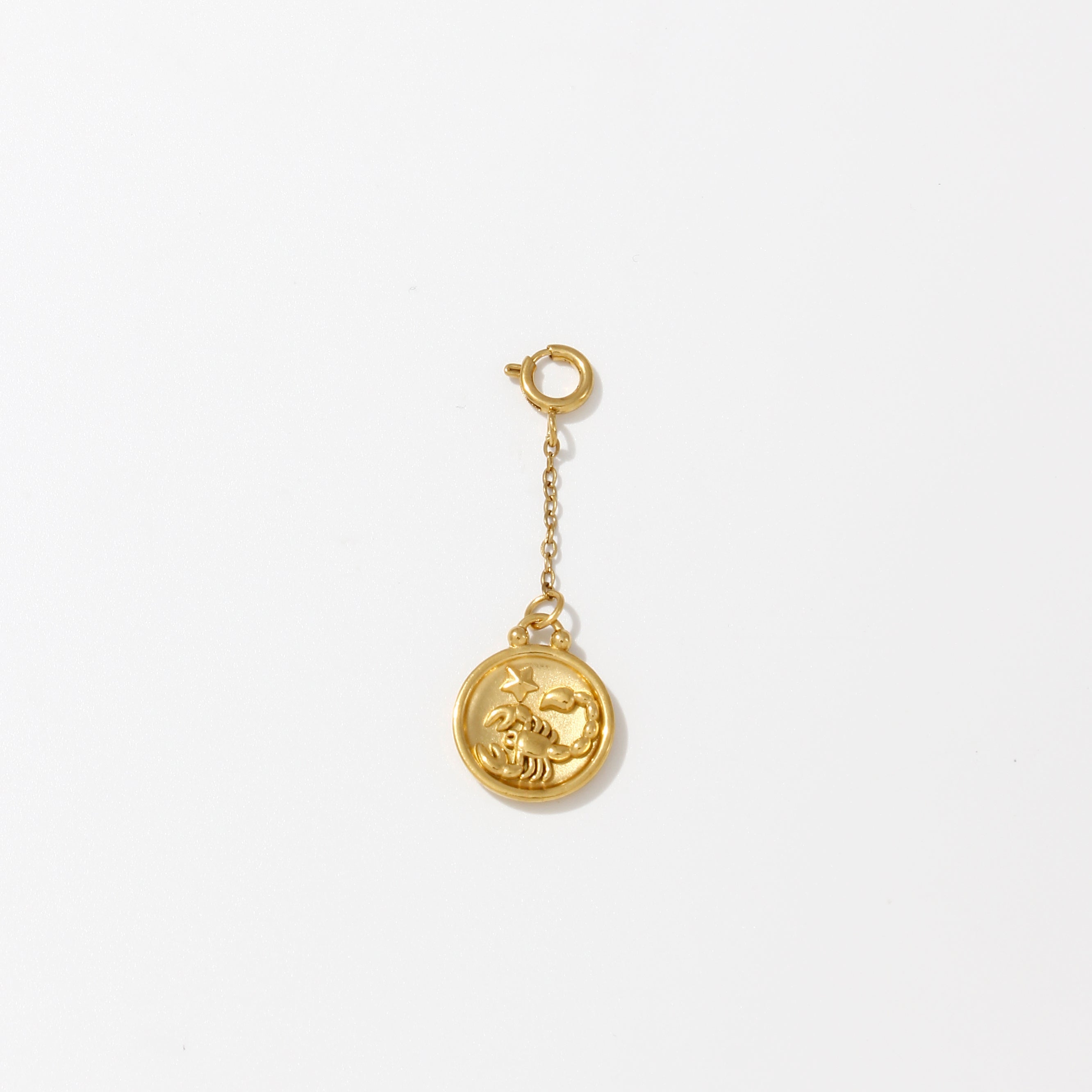 Zodiac Charms on Chain - Water Resistant