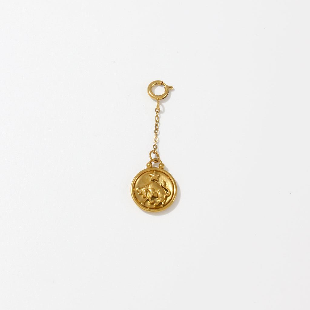 Zodiac Charms on Chain - Water Resistant