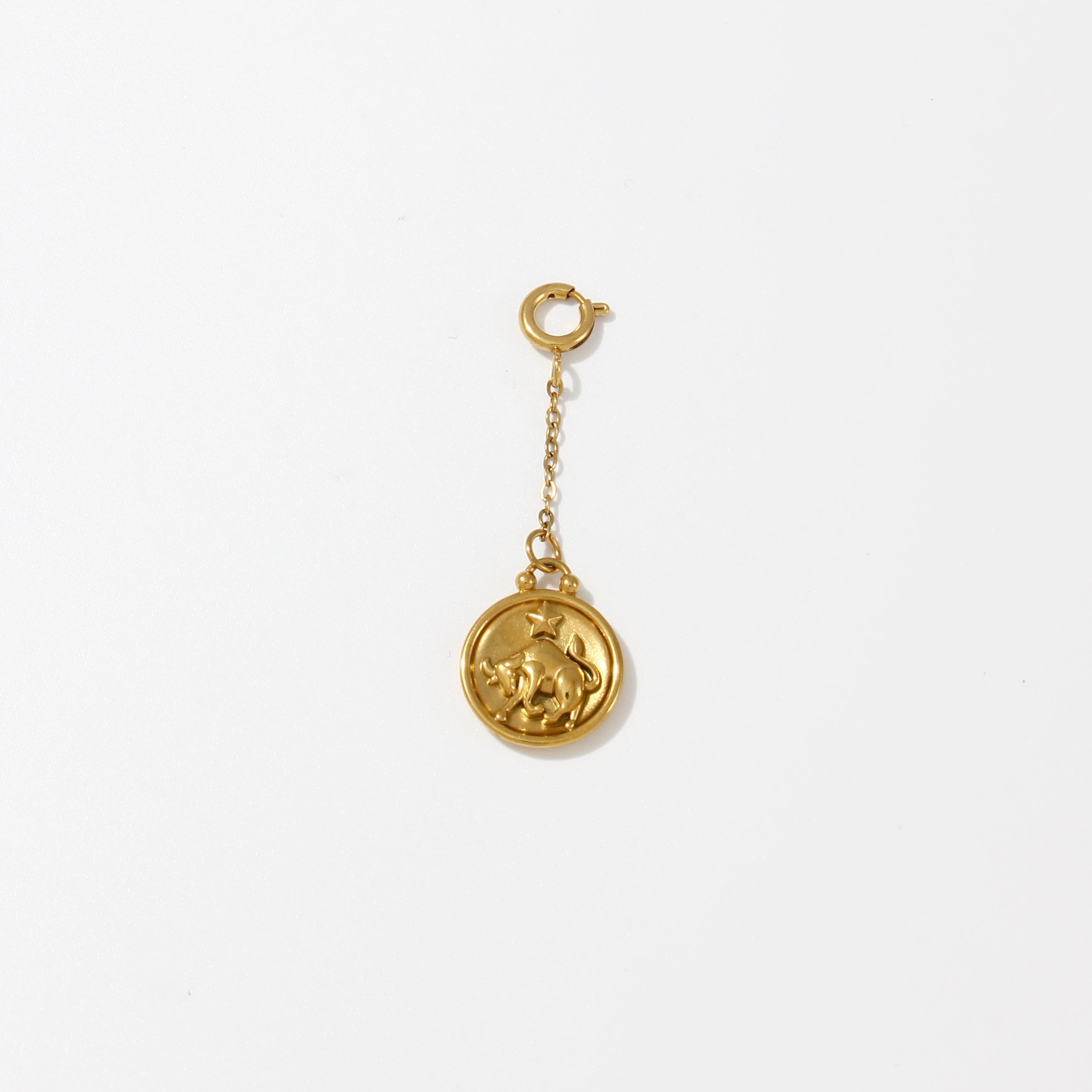 Zodiac Charms on Chain - Water Resistant
