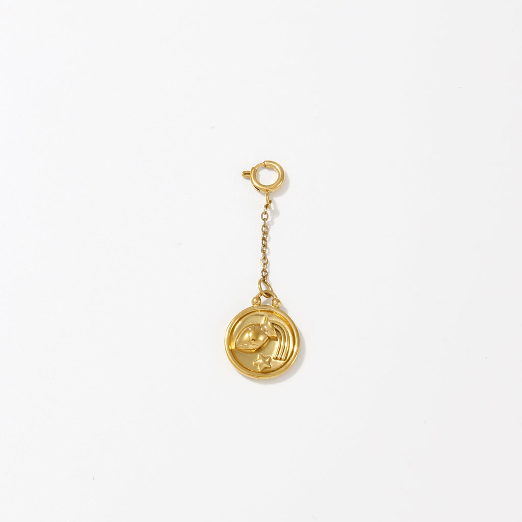 Zodiac Charms on Chain - Water Resistant