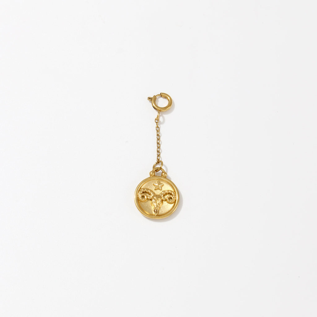 Zodiac Charms on Chain - Water Resistant