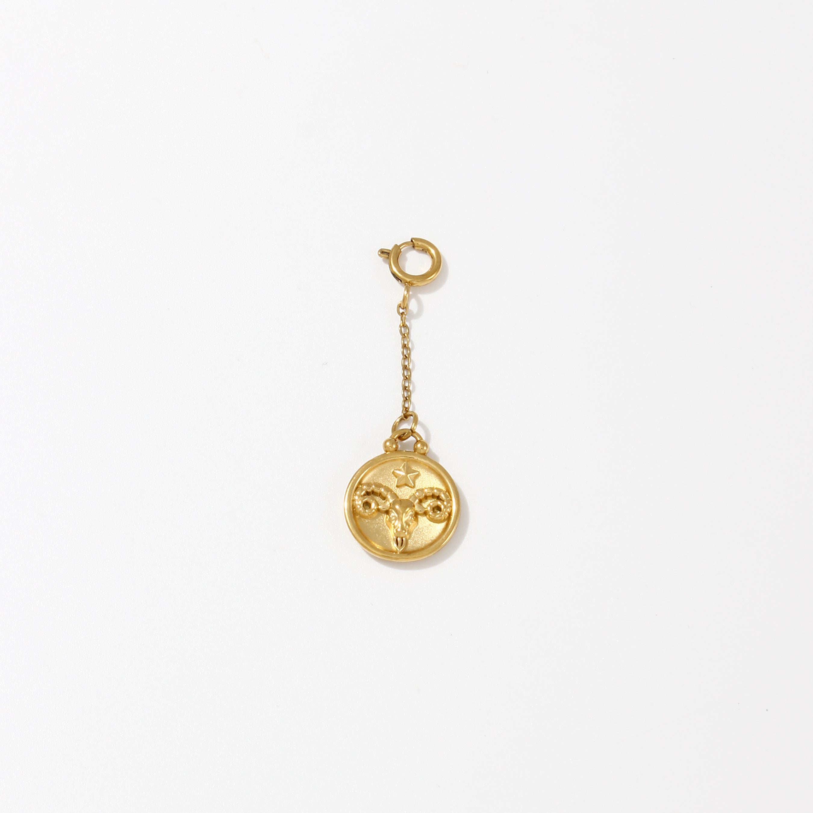 Zodiac Charms on Chain - Water Resistant